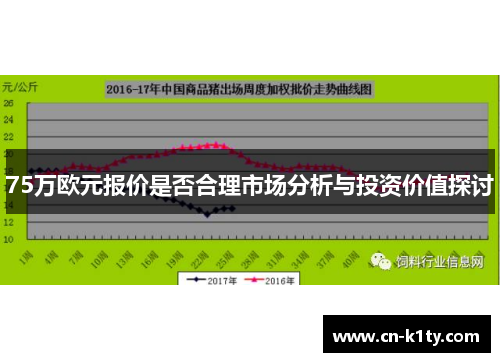 75万欧元报价是否合理市场分析与投资价值探讨